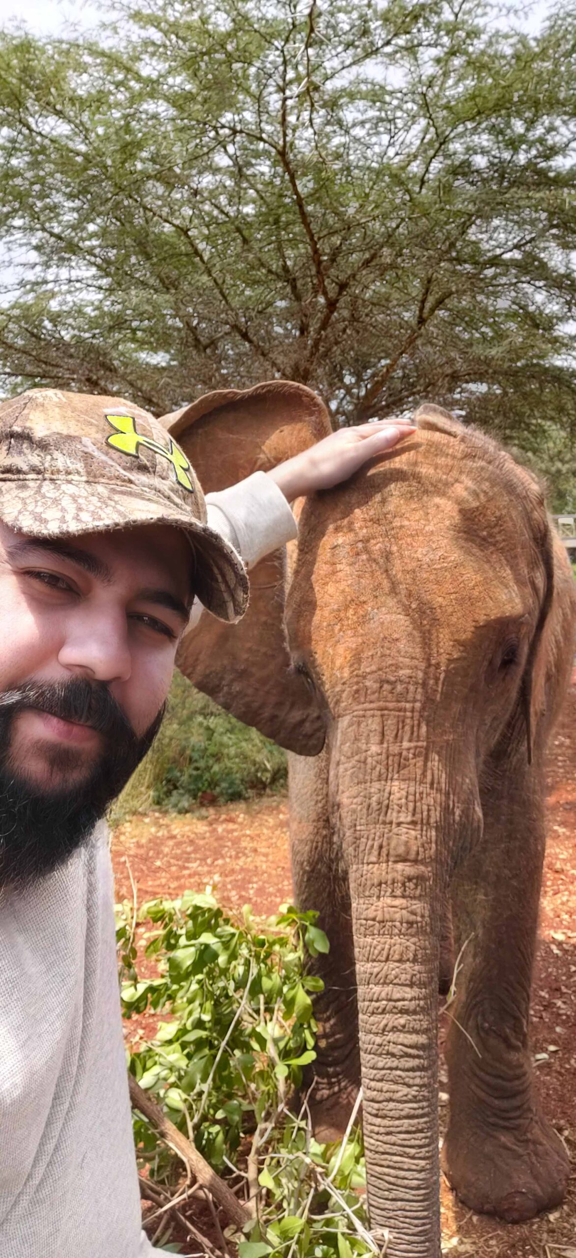 cuddling baby elephant