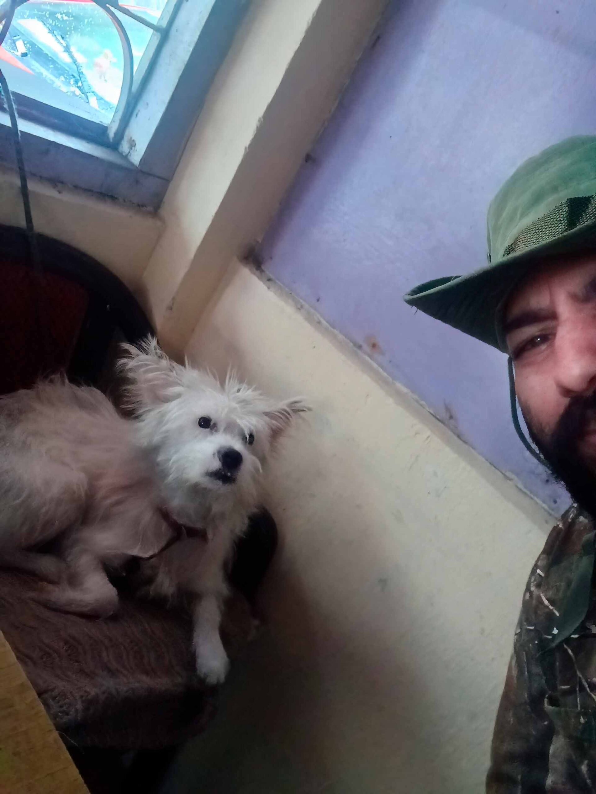 dog