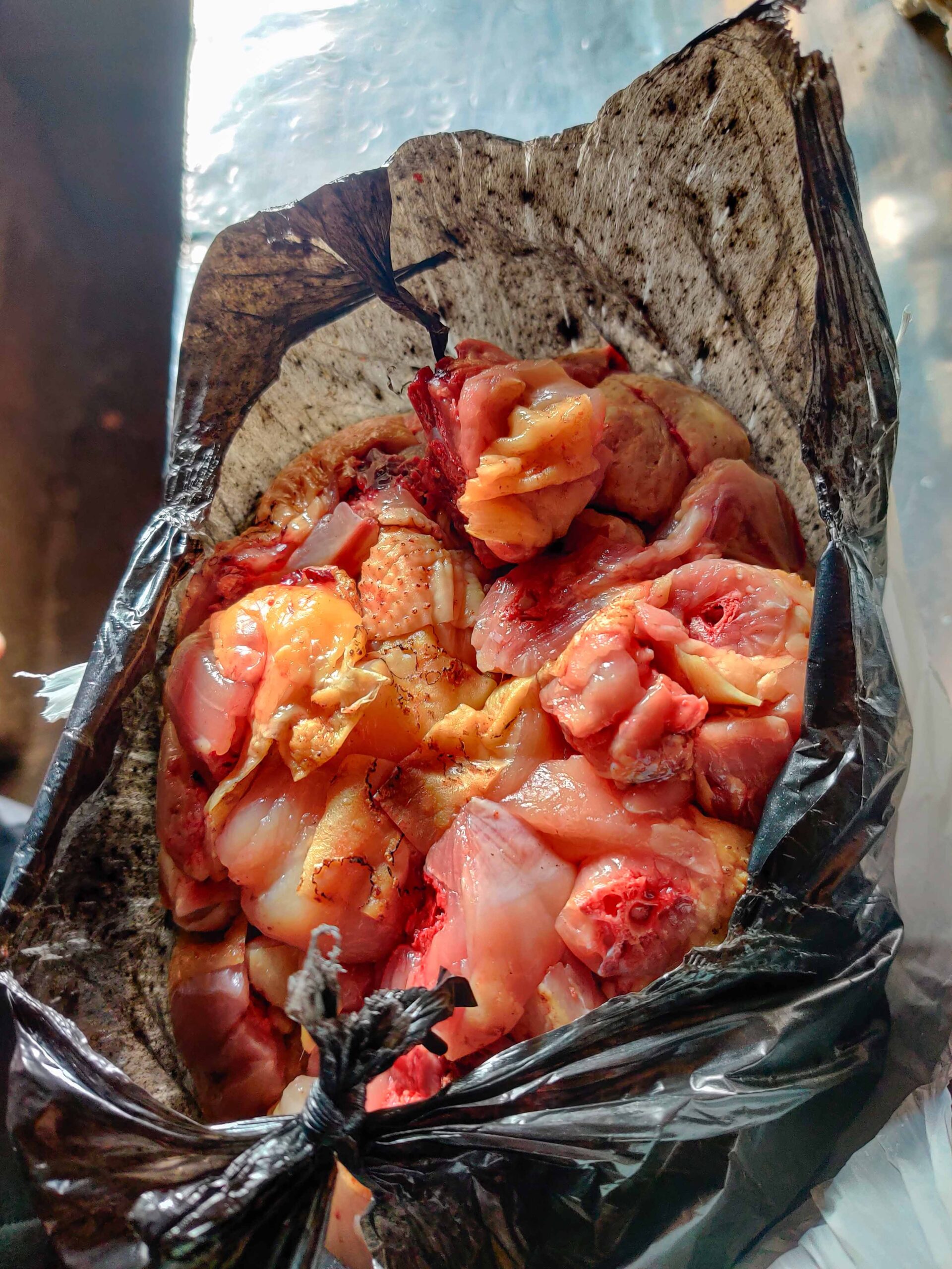 chicken meat