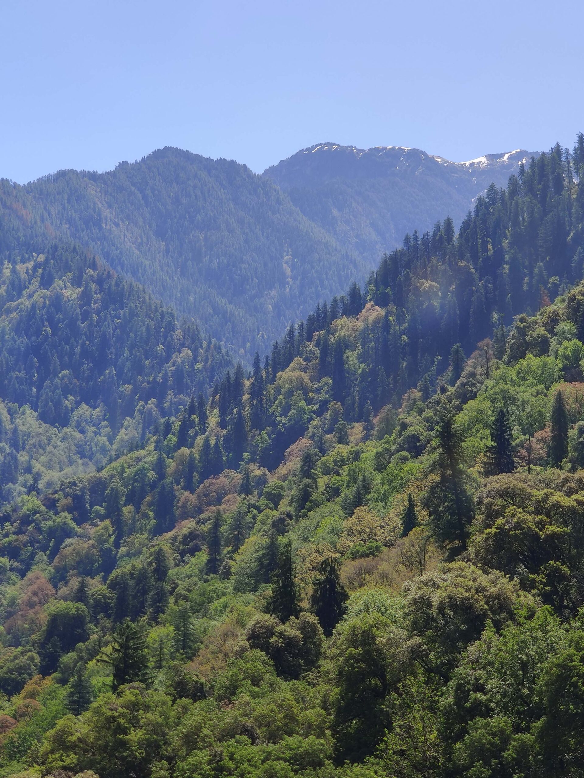 Mountain
